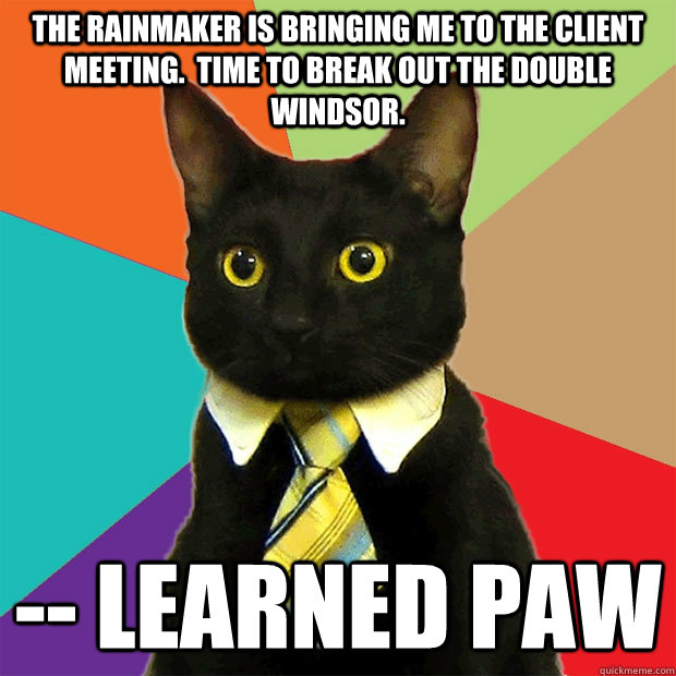 The rainmaker is bringing me to the client meeting.  Time to break out the Double Windsor. -- Learned Paw  Business Cat