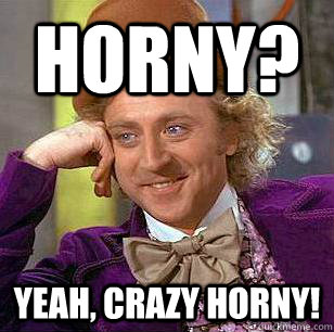 Horny? Yeah, crazy horny!  Condescending Wonka