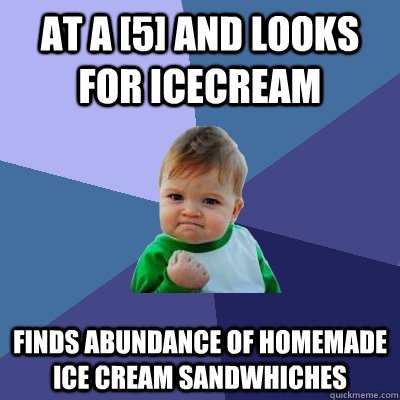 At a [5] and looks for icecream finds abundance of homemade ice cream sandwhiches  Success Kid