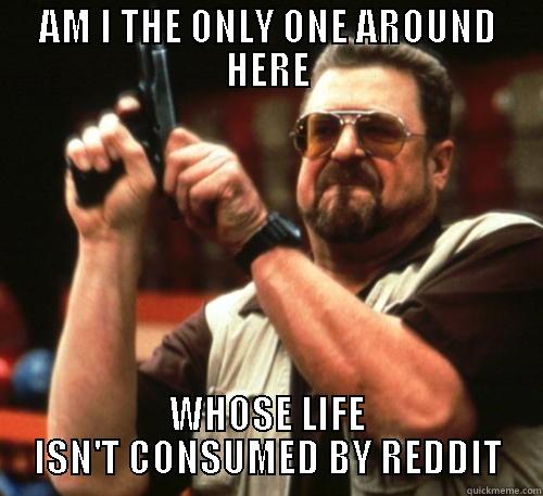 AM I THE ONLY ONE AROUND HERE WHOSE LIFE ISN'T CONSUMED BY REDDIT Am I The Only One Around Here