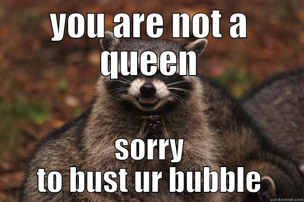 YOU ARE NOT A QUEEN SORRY TO BUST UR BUBBLE Evil Plotting Raccoon