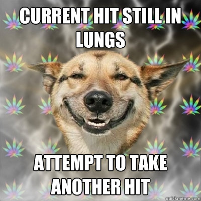 current hit still in lungs attempt to take another hit  Stoner Dog