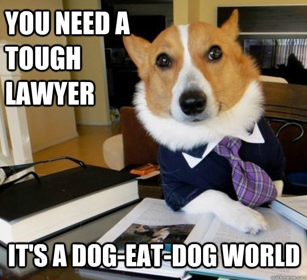 You need a tough lawyer It's a dog-eat-dog world  Lawyer Dog