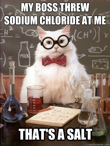 My Boss threw 
Sodium Chloride at me That's A Salt  Chemistry Cat