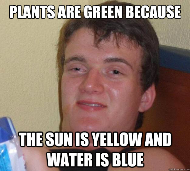 Plants are green because The sun is yellow and water is blue  10 Guy