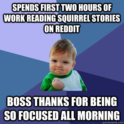 Spends first two hours of work reading squirrel stories on reddit boss thanks for being so focused all morning - Spends first two hours of work reading squirrel stories on reddit boss thanks for being so focused all morning  Success Kid