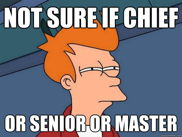 not sure if chief or senior or master  Futurama Fry