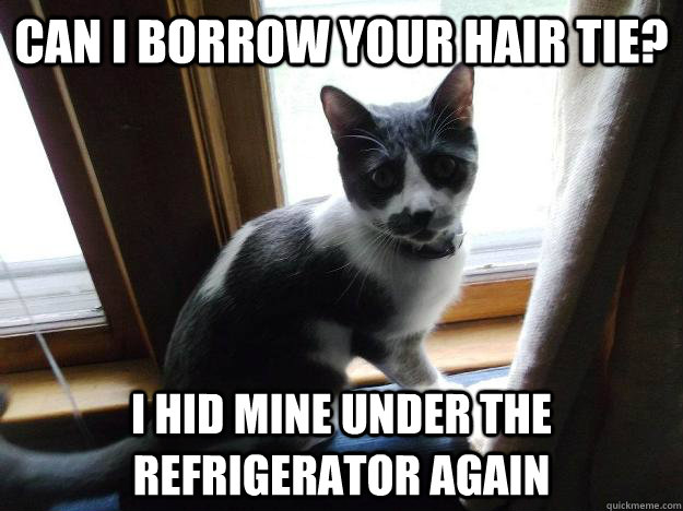 Can I Borrow Your Hair Tie? I Hid mine under the Refrigerator Again  Needy Cat