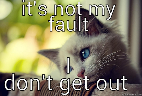 please don't go - IT'S NOT MY FAULT I DON'T GET OUT MUCH First World Problems Cat