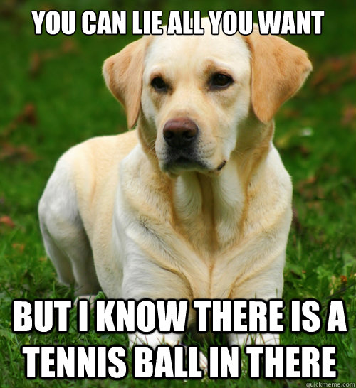 you can lie all you want but i know there is a tennis ball in there  Dog Logic