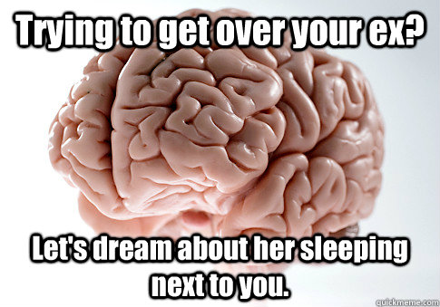 Trying to get over your ex? Let's dream about her sleeping next to you.   Scumbag Brain