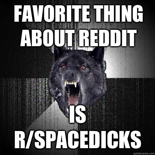 Favorite thing about reddit Is r/spacedicks  Insanity Wolf