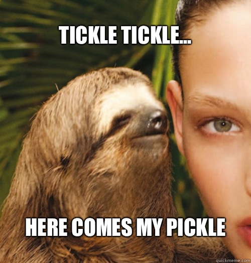 TICKLE TICKLE... HERE COMES MY PICKLE  Whispering Sloth