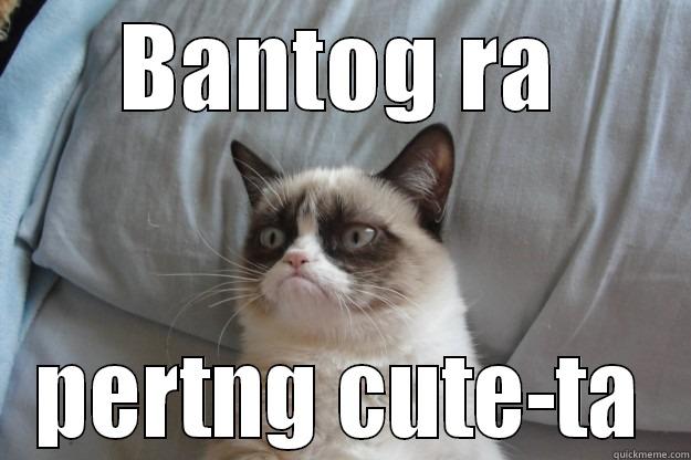 BANTOG RA PERTNG CUTE-TA Grumpy Cat