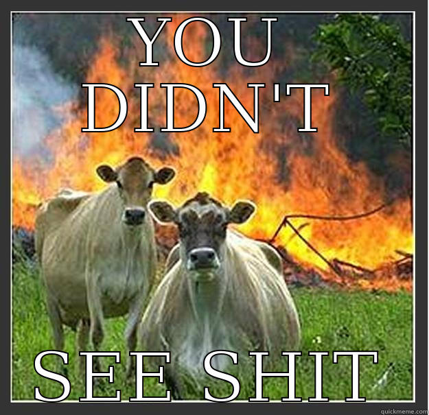 you didn't see sh*t - YOU DIDN'T SEE SHIT Evil cows