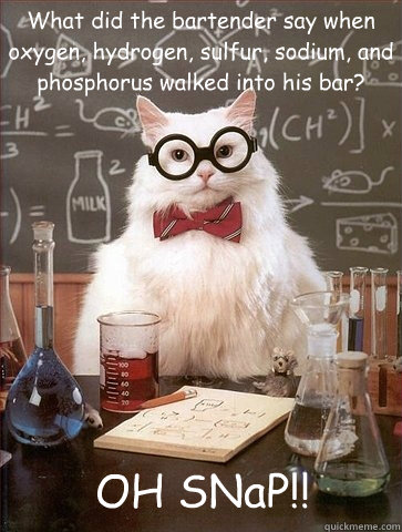 What did the bartender say when oxygen, hydrogen, sulfur, sodium, and phosphorus walked into his bar? OH SNaP!!  Chemistry Cat