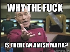 Why the fuck is there an Amish Mafia?  Annoyed Picard