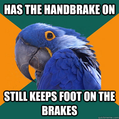 Has the handbrake on still keeps foot on the brakes - Has the handbrake on still keeps foot on the brakes  Paranoid Parrot