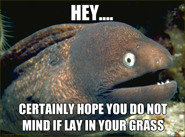 Hey.... Certainly hope you do not mind if lay in your grass - Hey.... Certainly hope you do not mind if lay in your grass  Caught in the act Moray