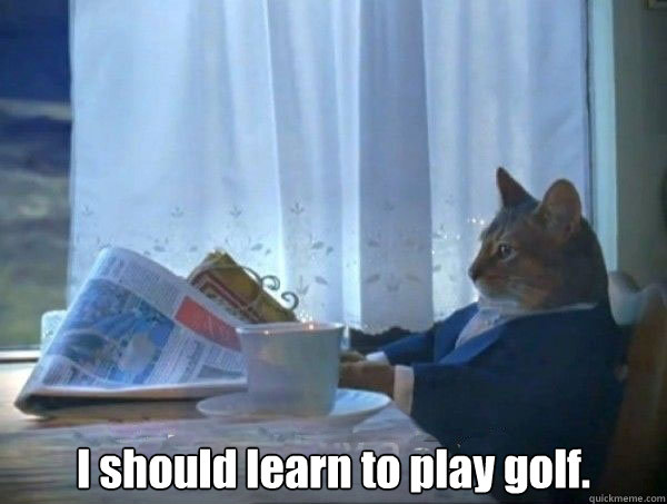  I should learn to play golf.  morning realization newspaper cat meme