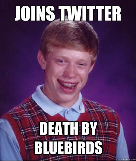 Joins Twitter DEATH BY BLUEBIRDS  Bad Luck Brian