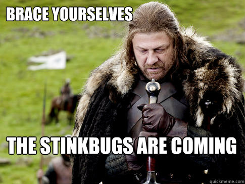 Brace Yourselves the stinkbugs are coming  Eddard Stark