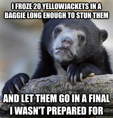 I froze 20 yellowjackets in a baggie long enough to stun them and let them go in a final I wasn't prepared for - I froze 20 yellowjackets in a baggie long enough to stun them and let them go in a final I wasn't prepared for  Confession Bear