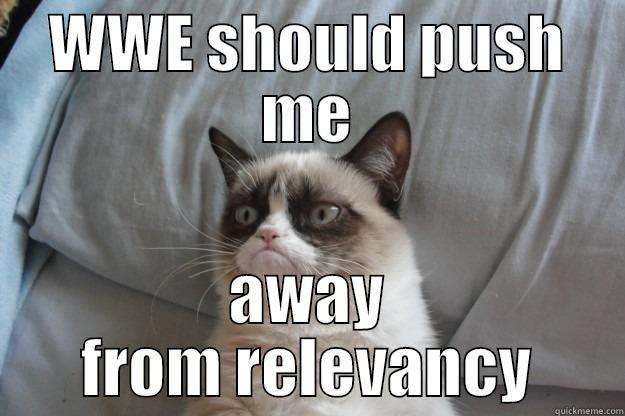 Push away relevancy - WWE SHOULD PUSH ME AWAY FROM RELEVANCY Grumpy Cat