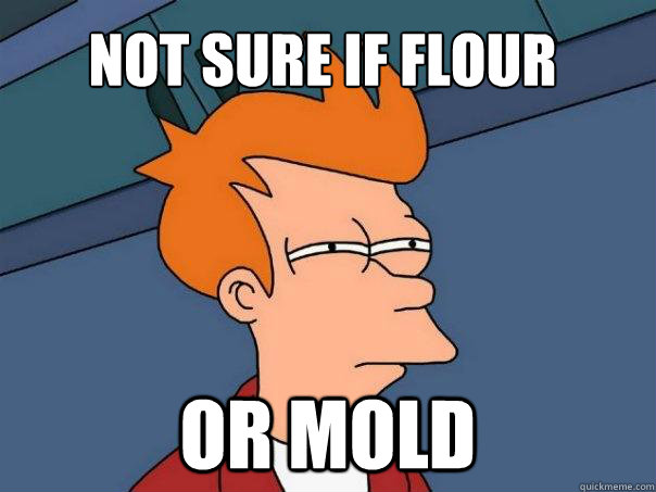 Not Sure if flour or mold  Futurama Fry