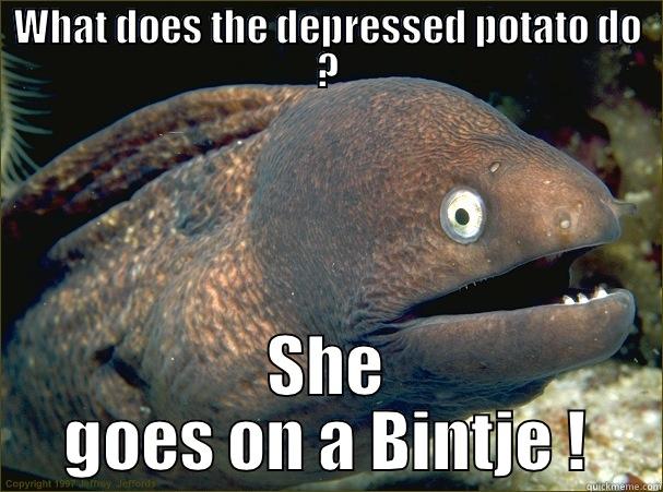 WHAT DOES THE DEPRESSED POTATO DO ? SHE GOES ON A BINTJE ! Bad Joke Eel