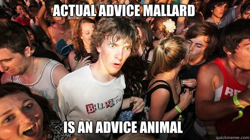 actual advice mallard
 is an advice animal  Sudden Clarity Clarence