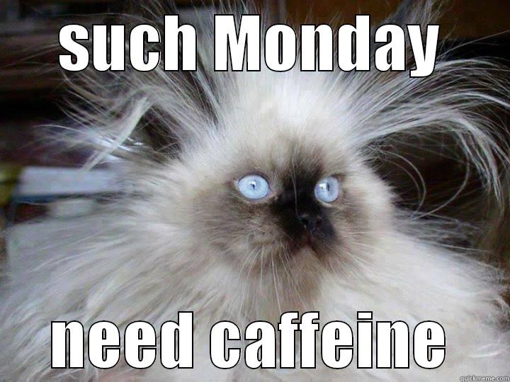 SUCH MONDAY NEED CAFFEINE Misc