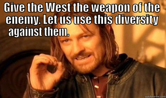 GIVE THE WEST THE WEAPON OF THE ENEMY. LET US USE THIS DIVERSITY AGAINST THEM.                                               Boromir