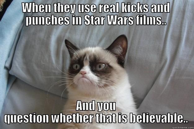 WHEN THEY USE REAL KICKS AND PUNCHES IN STAR WARS FILMS.. AND YOU QUESTION WHETHER THAT IS BELIEVABLE.. Grumpy Cat