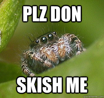 plz don skish me  Misunderstood Spider