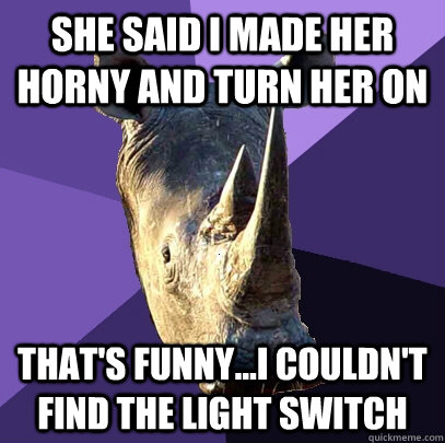 She said I made her horny and turn her on That's funny...I couldn't find the light switch  Sexually Oblivious Rhino