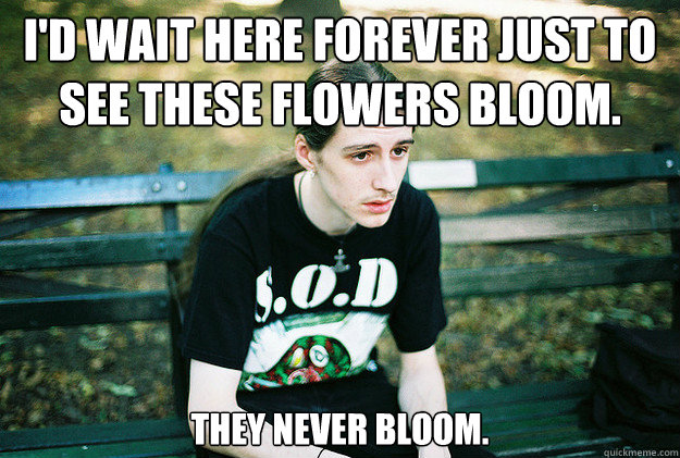 I'd wait here forever just to see these flowers bloom.
 They never bloom.  First World Metal Problems