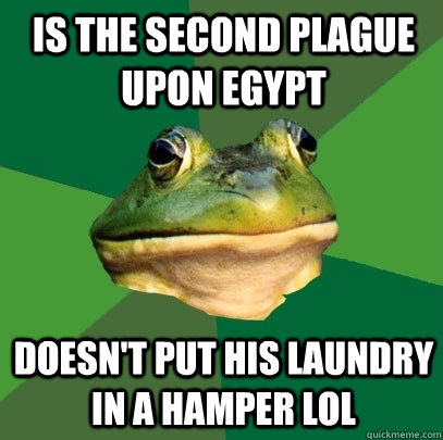 Is the second plague upon Egypt Doesn't put his laundry in a hamper lol - Is the second plague upon Egypt Doesn't put his laundry in a hamper lol  Foul Bachelor Frog