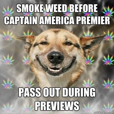 Smoke weed before Captain america premier pass out during previews  Stoner Dog