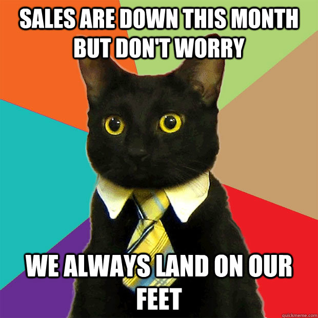 sales are down this month but don't worry we always land on our feet  Business Cat