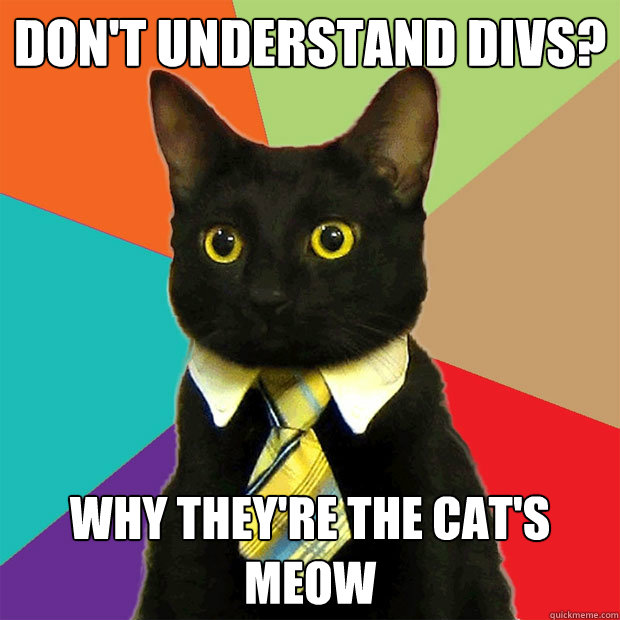 Don't understand divs? Why they're the cat's meow  Business Cat