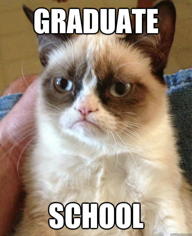 Graduate School  Grumpy Cat