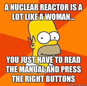 A nuclear reactor is a lot like a woman... You just have to read the manual and press the right buttons  Advice Homer