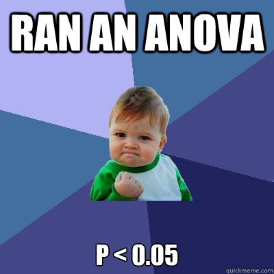 Ran an ANOVA p < 0.05 - Ran an ANOVA p < 0.05  Success Kid