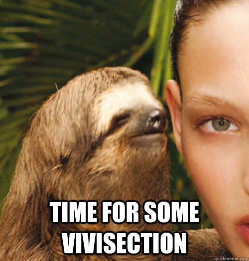  time for some vivisection  Whispering Sloth