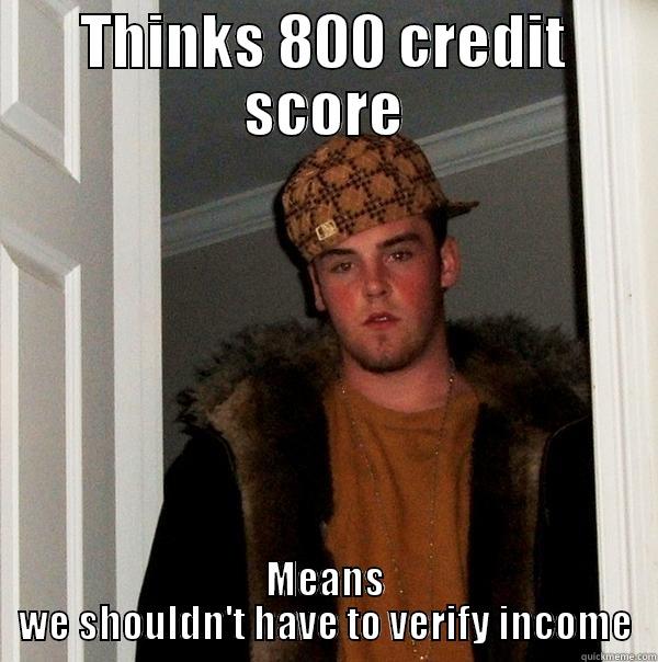 THINKS 800 CREDIT SCORE MEANS WE SHOULDN'T HAVE TO VERIFY INCOME Scumbag Steve