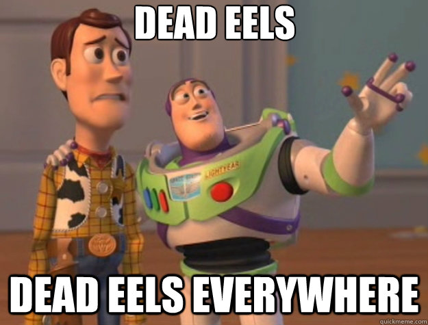 dead eels dead eels everywhere  Toy Story