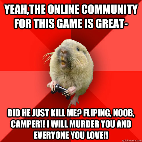 yeah,the online community for this game is great- did he just kill me? fliping, noob, CAMPER!! I WILL MURDER YOU AND EVERYONE YOU LOVE!!   Gaming Gopher