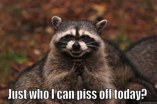  JUST WHO I CAN PISS OFF TODAY? Evil Plotting Raccoon