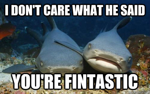 I don't care what he said you're fintastic - I don't care what he said you're fintastic  Compassionate Shark Friend